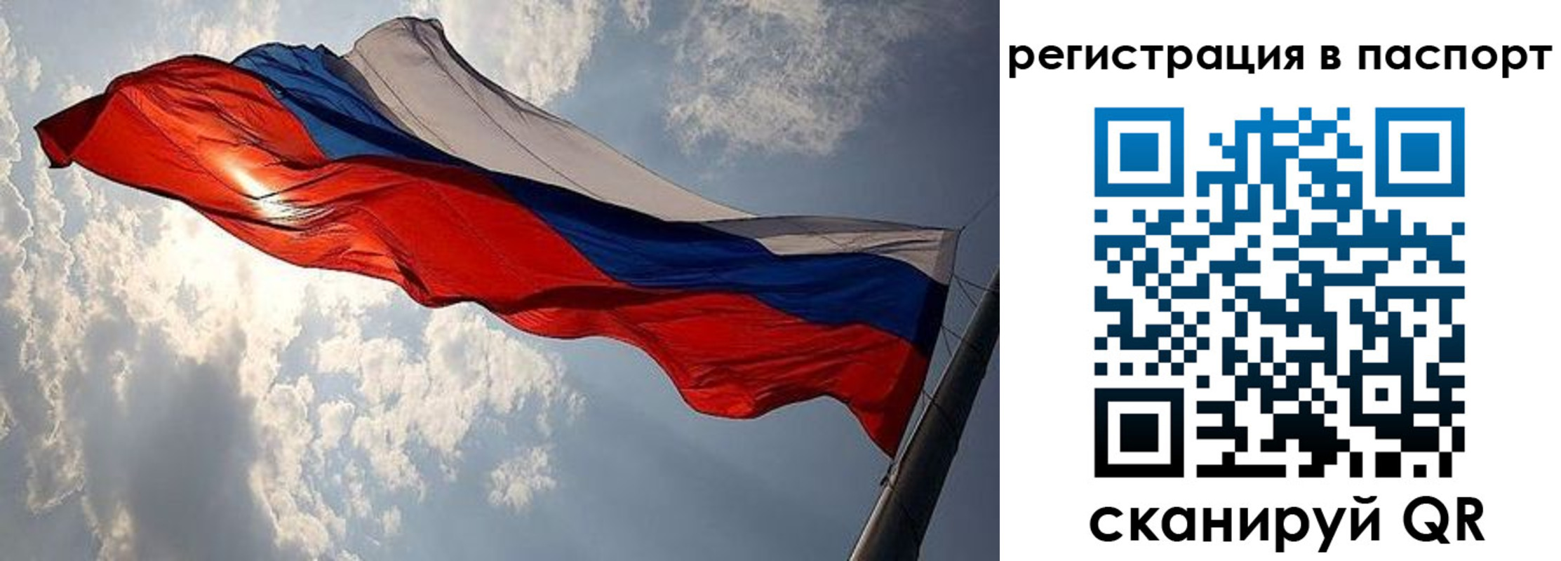 временная регистрация для всех в Плавске